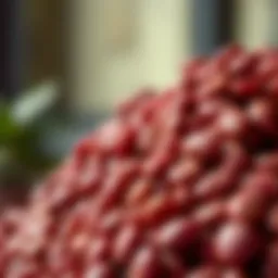 A close-up of Azuki beans showcasing their rich color and texture