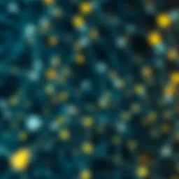 Blockchain network visualization