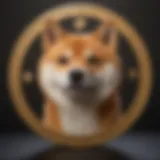 An artistic representation of the Shiba Inu cryptocurrency logo