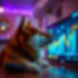 A captivating Shiba Inu dog gazing at a television screen displaying cryptocurrency visuals.