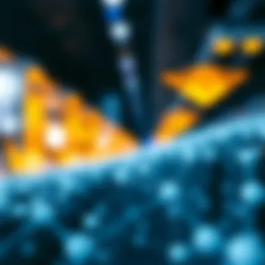 Potential Applications in the Polkadot Ecosystem Illustration of potential applications within the Polkadot ecosystem