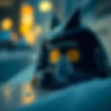 Illustration highlighting the security measures employed by the Snorlax wallet.