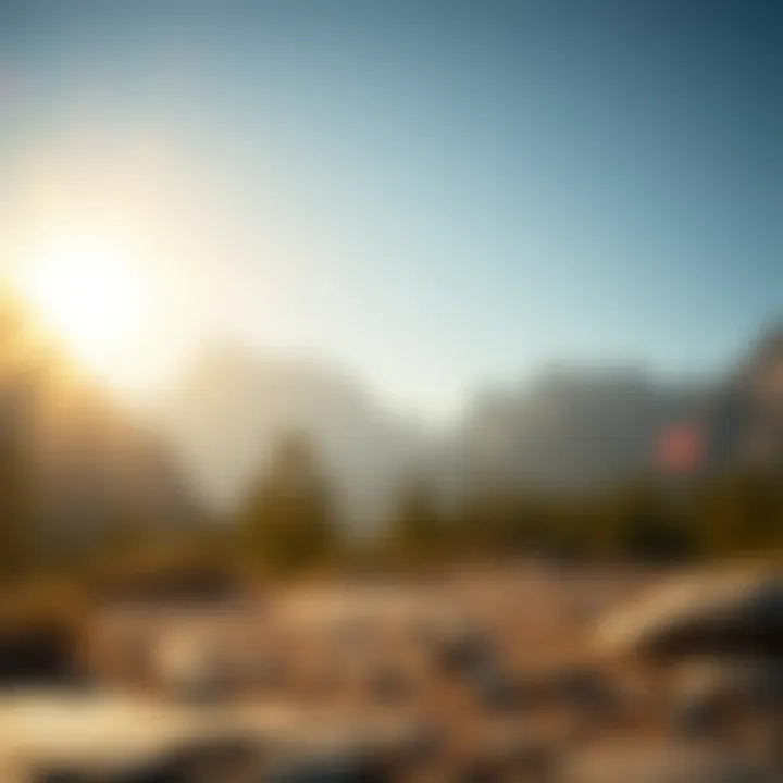 Future Valuation Forecasts for Tera Coin Future forecasts for Tera Coin valuation